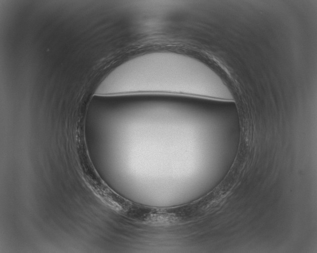 X0000084600455200702231040