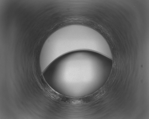 X0000084600456200702231040