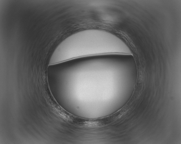 X0000084600457200702231040