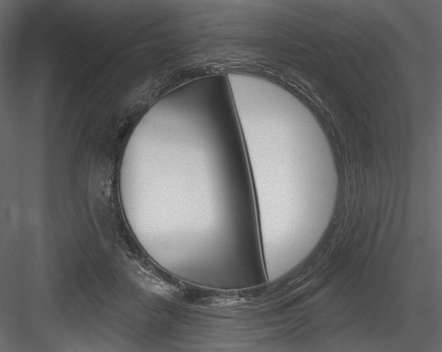 X0000084600458200702231040