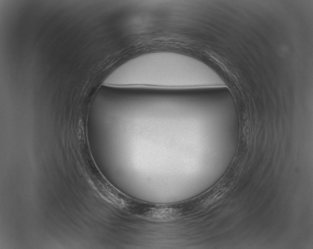 X0000084600459200702231040
