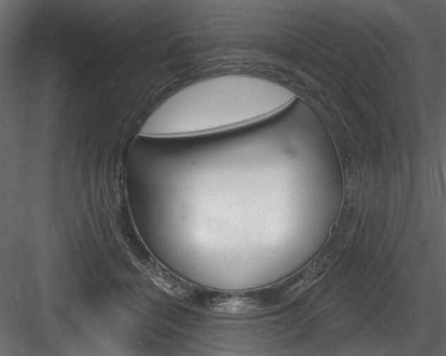 X0000084600460200702231040