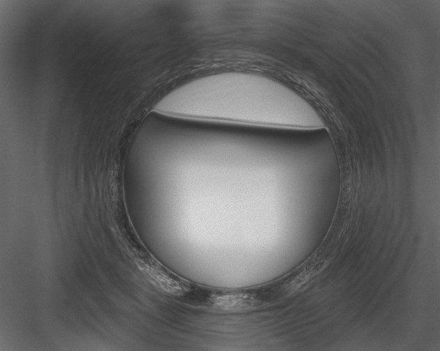 X0000084600461200702231040