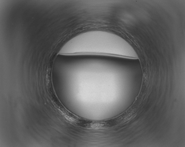 X0000084600462200702231041