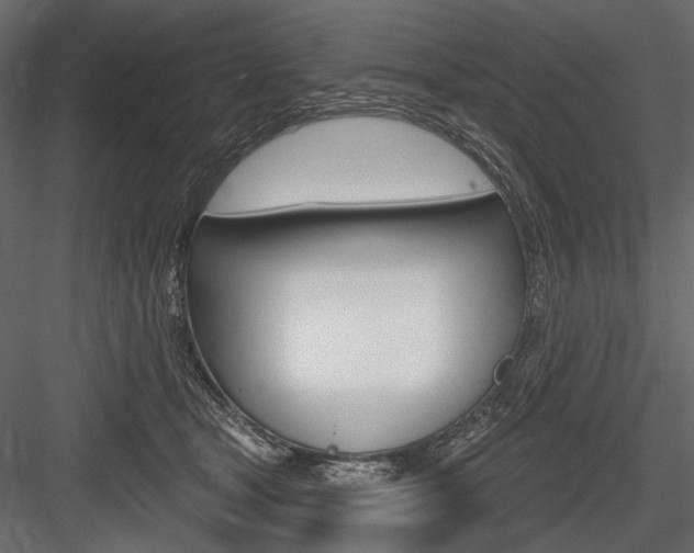 X0000084600465200702231041