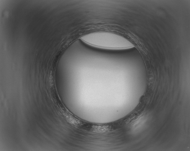 X0000084600469200702231041