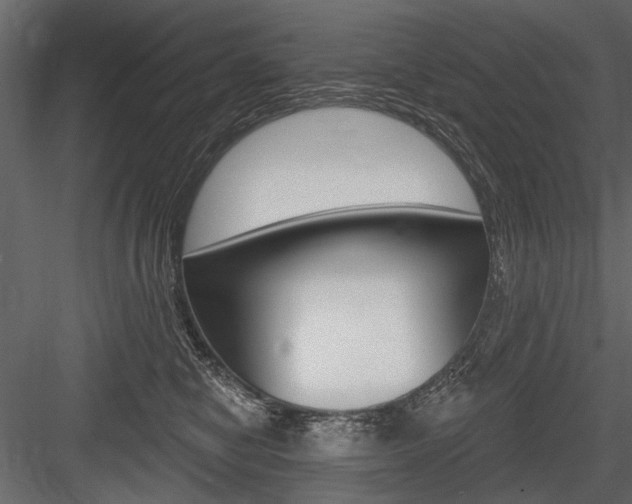 X0000084600470200702231041