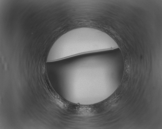 X0000084600471200702231041