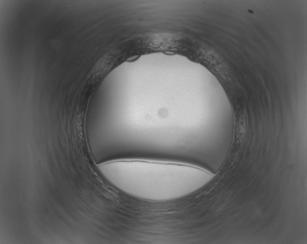 X0000084600473200702231041