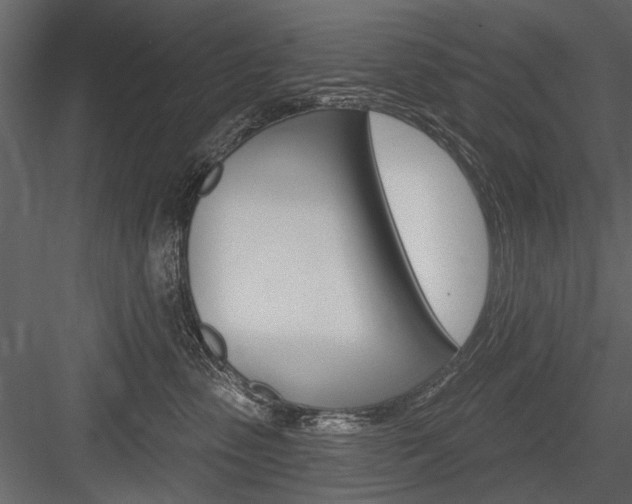 X0000084600475200702231041