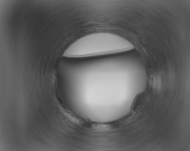 X0000084600476200702231041