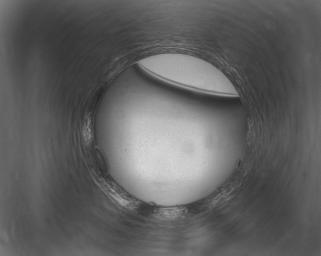 X0000084600479200702231041