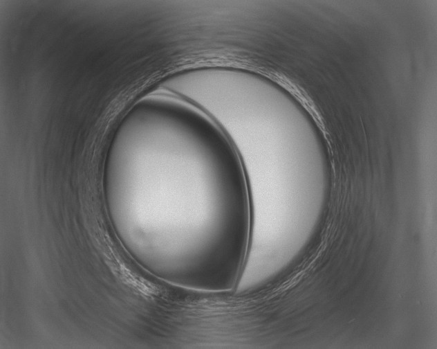 X0000084600481200702231040