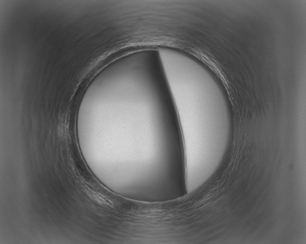 X0000084600483200702231040