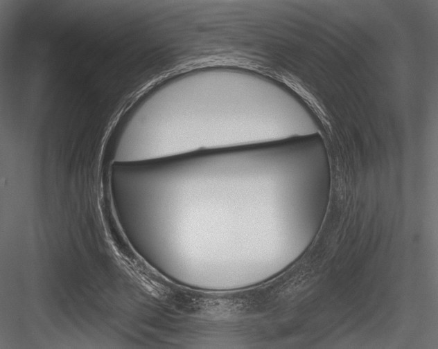 X0000084600486200702231040