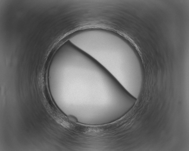 X0000084600487200702231040