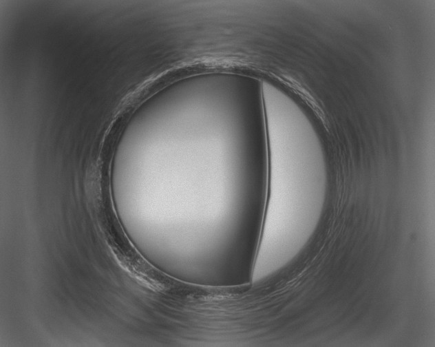 X0000084600492200702231040