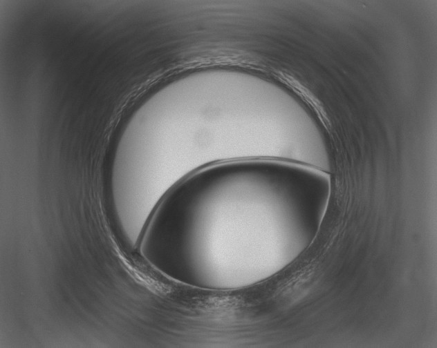 X0000084600493200702231040