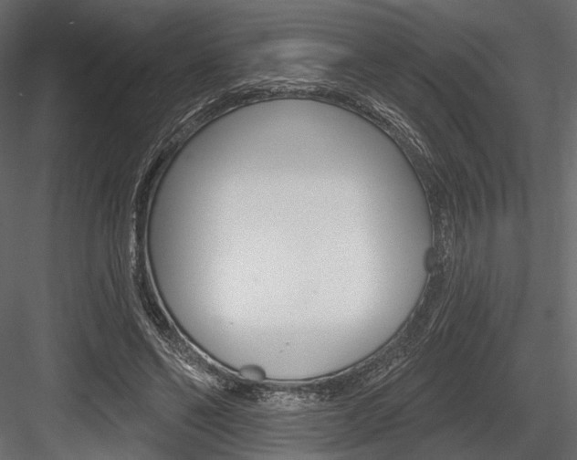X0000084600494200702231040