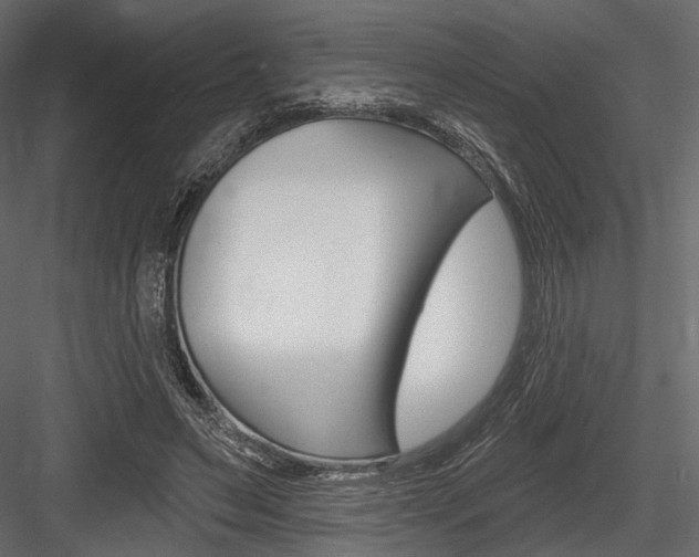 X0000084600495200702231040