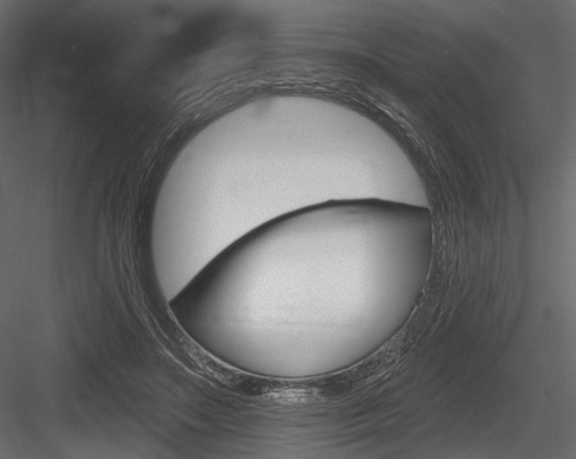 X0000084600499200702231040