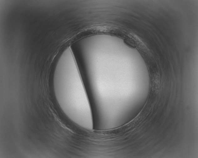 X0000084600500200702231040