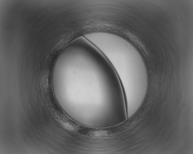 X0000084600501200702231040