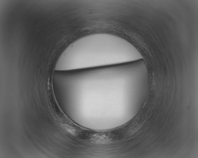 X0000084600502200702231040