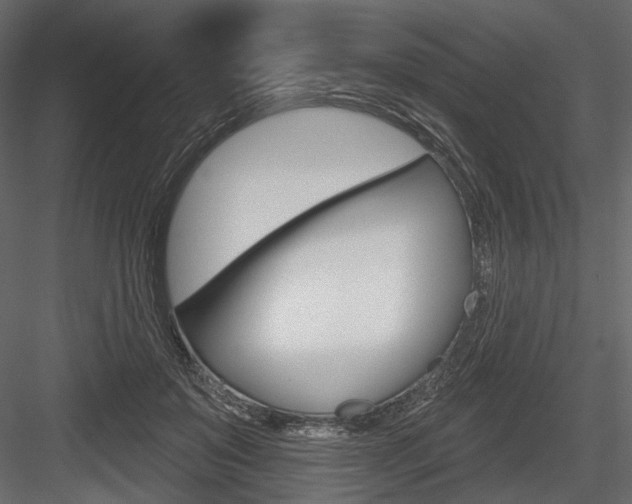 X0000084600503200702231040