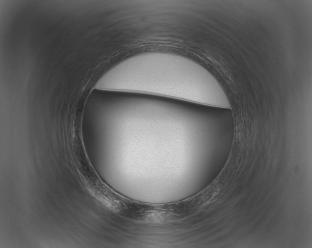 X0000084600504200702231040
