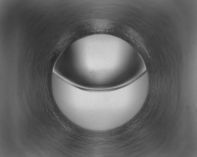 X0000084600505200702231040