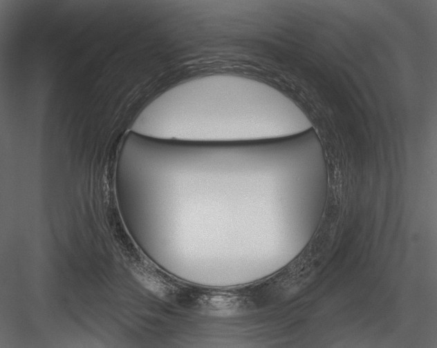 X0000084600506200702231040