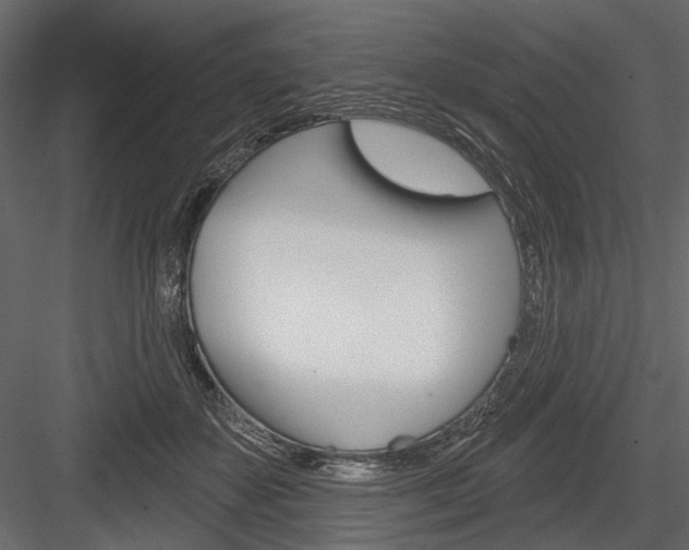 X0000084600507200702231040
