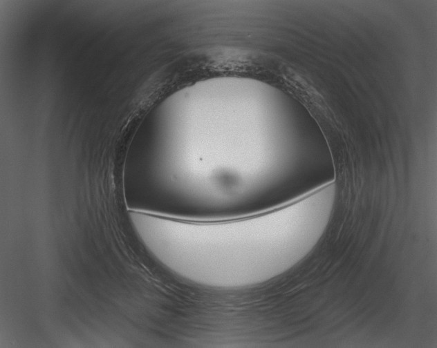 X0000084600508200702231040