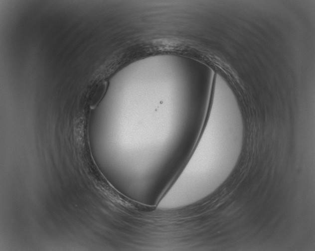 X0000084600509200702231040