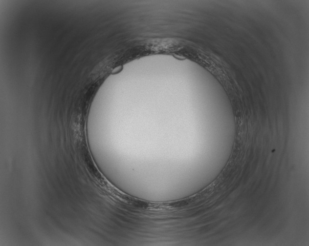 X0000084600510200702231039