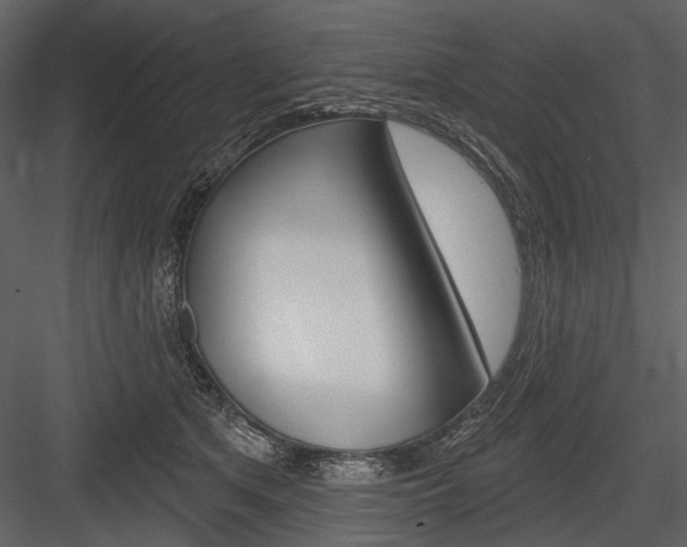 X0000084600513200702231039