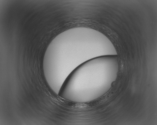 X0000084600514200702231039