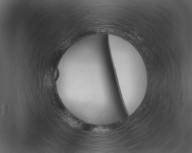 X0000084600515200702231039
