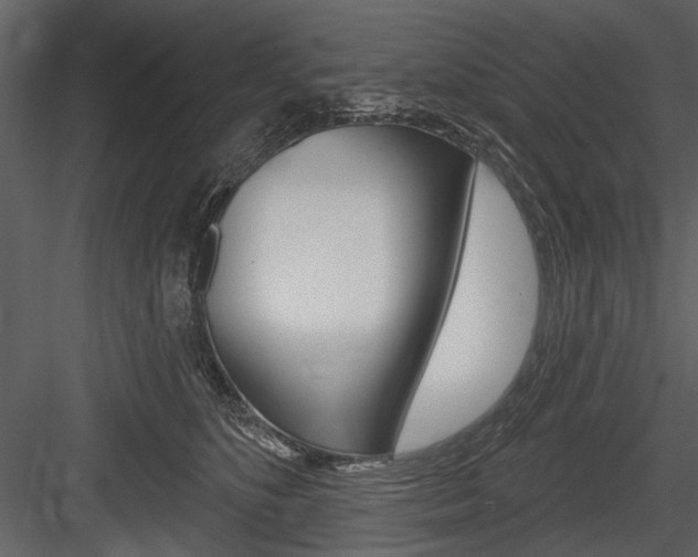 X0000084600516200702231039