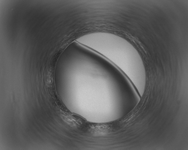X0000084600517200702231039