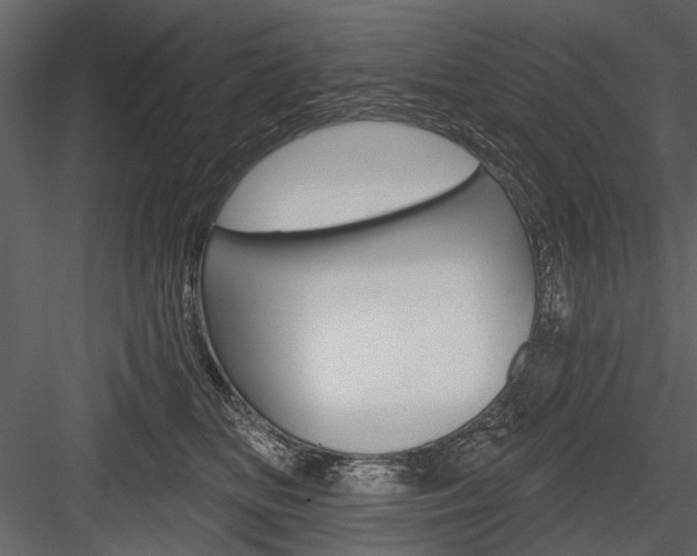 X0000084600518200702231039