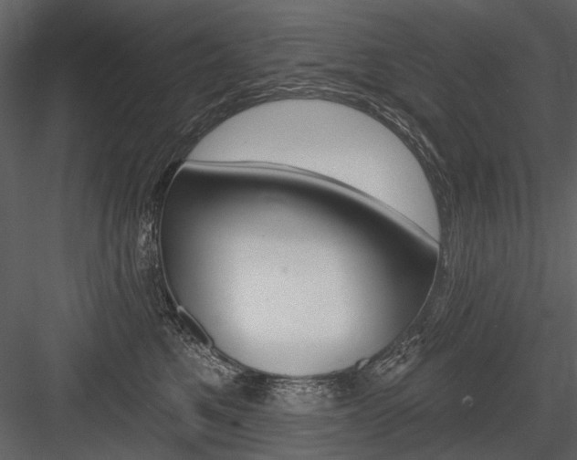 X0000084600521200702231039