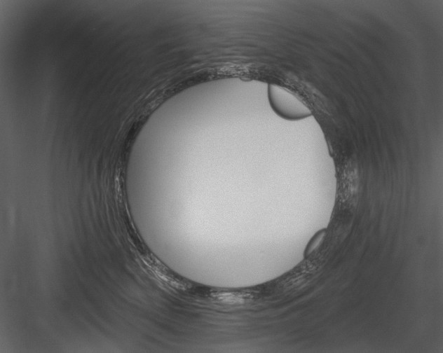X0000084600522200702231039
