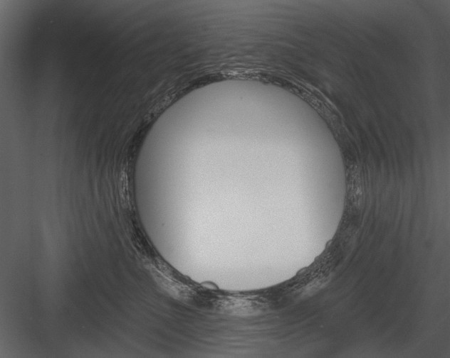 X0000084600523200702231039