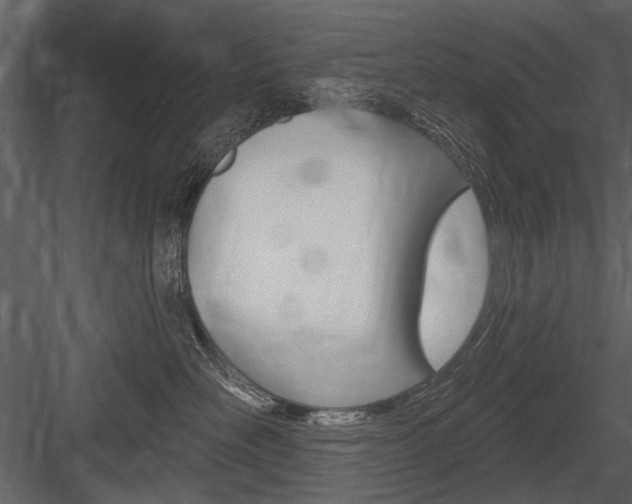 X0000084600526200702231039