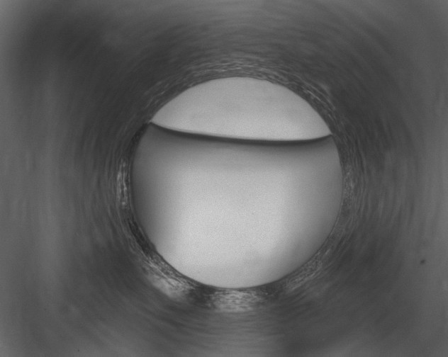 X0000084600527200702231039