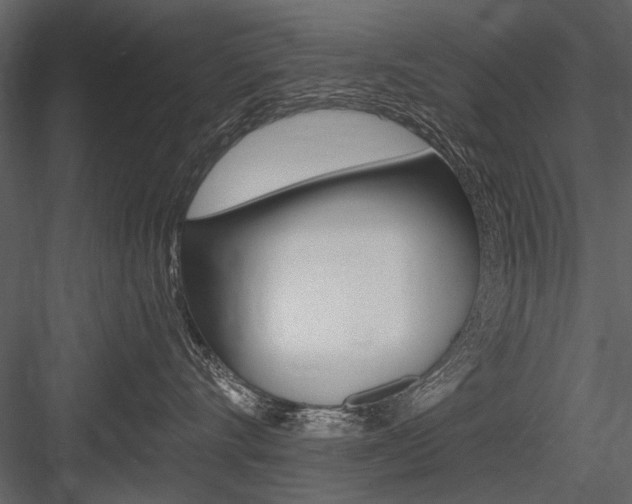 X0000084600528200702231039