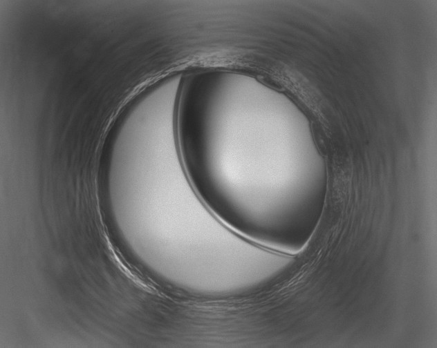 X0000084600530200702231038