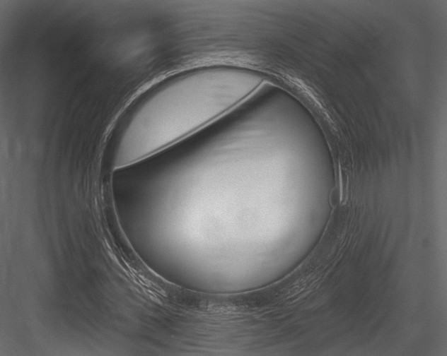 X0000084600531200702231038